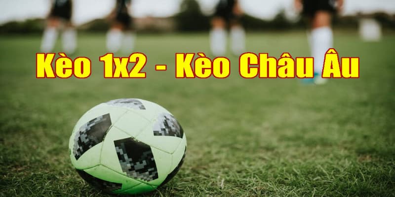 Định nghĩa kèo châu Âu là gì?
