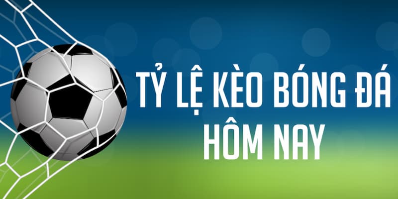 Lựa chọn nhà cái uy tín và minh bạch